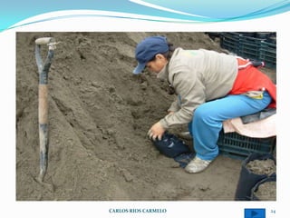 CARLOS RIOS CARMELO   24
 