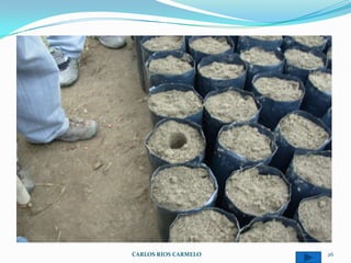 CARLOS RIOS CARMELO   26
 