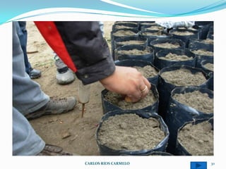 CARLOS RIOS CARMELO   30
 