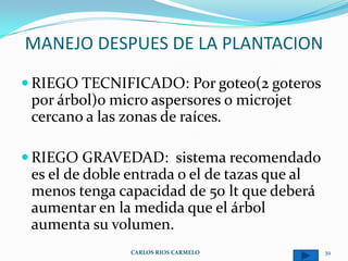 MANEJO DESPUES DE LA PLANTACION

 RIEGO TECNIFICADO: Por goteo(2 goteros
 por árbol)o micro aspersores o microjet
 cercano a las zonas de raíces.

 RIEGO GRAVEDAD: sistema recomendado
 es el de doble entrada o el de tazas que al
 menos tenga capacidad de 50 lt que deberá
 aumentar en la medida que el árbol
 aumenta su volumen.
                CARLOS RIOS CARMELO            39
 