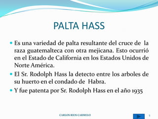 PALTA HASS
 Es una variedad de palta resultante del cruce de la
  raza guatemalteca con otra mejicana. Esto ocurrió
  en el Estado de California en los Estados Unidos de
  Norte América.
 El Sr. Rodolph Hass la detecto entre los arboles de
  su huerto en el condado de Habra.
 Y fue patenta por Sr. Rodolph Hass en el año 1935



                   CARLOS RIOS CARMELO                  5
 