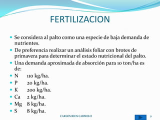 FERTILIZACION
 Se considera al palto como una especie de baja demanda de
    nutrientes.
   De preferencia realizar un análisis foliar con brotes de
    primavera para determinar el estado nutricional del palto.
   Una demanda aproximada de absorción para 10 ton/ha es
    de:
   N    110 kg/ha.
   P    20 kg/ha.
   K    200 kg/ha.
   Ca 2 kg/ha.
   Mg 8 kg/ha.
   S    8 kg/ha.
                        CARLOS RIOS CARMELO                      51
 