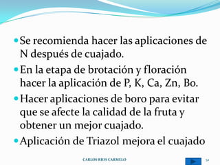  Se recomienda hacer las aplicaciones de
  N después de cuajado.
 En la etapa de brotación y floración
  hacer la aplicación de P, K, Ca, Zn, Bo.
 Hacer aplicaciones de boro para evitar
  que se afecte la calidad de la fruta y
  obtener un mejor cuajado.
 Aplicación de Triazol mejora el cuajado
               CARLOS RIOS CARMELO           52
 