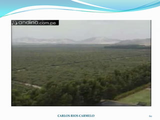 CARLOS RIOS CARMELO   60
 