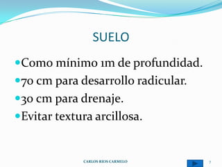 SUELO
Como mínimo 1m de profundidad.
70 cm para desarrollo radicular.
30 cm para drenaje.
Evitar textura arcillosa.


              CARLOS RIOS CARMELO   7
 