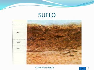 SUELO




CARLOS RIOS CARMELO   8
 