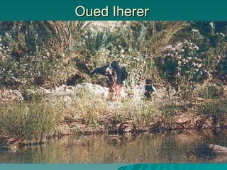Oued Iherer  
