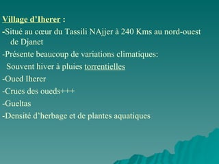 Village d’Iherer  :  - Situé au cœur du Tassili NAjjer à 240 Kms au nord-ouest de Djanet  -Présente beaucoup de variations climatiques:  Souvent hiver à pluies  torrentielles -Oued Iherer  -Crues des oueds+++ -Gueltas -Densité d’herbage et de plantes aquatiques  