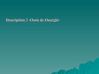 Description 3  : Oasis de Ouargla : 