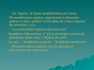 En Algérie ,la faune anophélienne est variée . De nombreuses espèces appartenant à plusieurs genres et sous -genres vivent dans de vastes régions du territoire  (14) (6) Les principales espèces décrites sont : - Anopheles labranchiae: C’est le principal vecteur du paludisme dans toute l’Algérie du nord .  - Au sud  :  Anopheles sergenti – Anopheles multicolor Plusieurs autres espèces ont été décrites et nécessitent une mise à jour . 