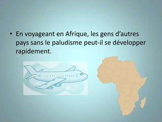 • En voyageant en Afrique, les gens d’autres
  pays sans le paludisme peut-il se développer
  rapidement.
 