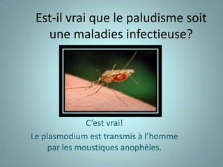 Est-il vrai que le paludisme soit
   une maladies infectieuse?




              C’est vrai!
Le plasmodium est transmis à l’homme
    par les moustiques anophèles.
 