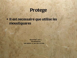 Protege Il est necessaire que utilise les moustiquares