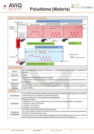 Paludisme (Malaria)
FICHE INFORMATIVE PALUDISME version Juillet 2016 3
Figure : Présentation classique de la maladie
Agent pathogène
Germe
Parasite protozoaire du genre Plasmodium : P. falciparum, P. vivax, P. ovale, P. malariae et P.
knowlesi.
Réservoir Humain.
Vecteur
Moustiqueculicidéfemelledu genreAnopheles.
Il existedetrès nombreusesespèces d’anophèles mais toutes nesontpascapablesdetransmettre
lepaludisme.
Résistance
Physico-
chimique
Les plasmodies résistentà unetempératurede4 °C pendant2 semaines, ce qui explique que l e
paludismepost-transfusionnel soitpossibleuniquementà partirdesangfrais avec des gl obules
rouges intacts.
Clinique
Transmission
Transmission vectorielleparpiqûredemoustiquefemelleanophèle :durantlapiqûre,lemoustique
infectéinjecteavecsasalivedes centainesdeparasites.
Autres voiesplusrares :voiesanguineettransplacentaire.
Incubation
Dépend del’espèce:
P.falciparum:7 à 15 jours(souvent10 à 12jours).Duréepluslonguepossiblesi prophylaxie.
P.vivax etP. ovale:12 à 18 jours.
P.malariae: 18 à 40 jours.
P.knowlesi :10 à 15 jours.
Périodede
contagiosité
Pas detransmissiondirectedepersonneà personne.
Les sujets infectés peuvent transmettre le parasite aux moustiques tant que des gamétocytes
infectants sontprésentsdanslesang.
Une personnenon (ou insuffisamment) traitéepeutrester infectantependant pl usieurs années
pour P.malariae,vivaxetovaleetgénéralementmoinsd’unan pour P.falciparum.
 