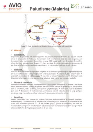 Paludisme (Malaria)
FICHE INFORMATIVE PALUDISME version Juillet 2016 9
Figure 1 : Cycle du paludisme (Source : Institut Pasteur Paris-France 2011)
2. Clinique
- Transmission :
Le parasite du paludisme est transmis par les moustiques anophèles femelles, qui piquent surtout
entre le crépuscule et l'aube. La transmission peut rarement se faire par voie sanguine, par
transfusion, suite à un accident d'exposition au sang (AES) ou par piqûre lors du partage de matériel
d'injection chez les usagers de drogues IV. Il y a un risque de transmission sanguine uniquement à
partirde sang frais avec des globules rouges intacts. La transmission materno-fœtaleest rare.
- Incubation :
La durée d’incubation entre la piqûre d’anophèle et les premiers signes cliniques dépend de l’espèce
en cause : elle est de 7 à 15 jours (souvent 10 à 12 jours) pour P. falciparum, 12 à 18 jours pour P.
vivax et P. ovale et de 10 à 15 jours pour P. knowlesi. Le temps d’incubation pour P. falciparum peut
êtreprolongé si le patient a été sous chimio-prophylaxie ou présente une immunité partielle.
- Période de contagiosité :
Le moustique devient infectant 2 semaines après l’ingestion du Plasmodium et le reste à vie (durée
de vie d’environ 1 mois). Le sang du patient est contaminant lorsque les gamétocytes sont présents
dans la circulation, soit à partir du 4ème jour de symptômes pour P. ovale et P. vivax et du 15ème
jour pour P. falciparum et malariae. Les gamétocytes restent présents dans le sang quelques
semaines, malgréun traitement. Leurprésence n’indique pas une infection active.
- Symptômes :
Devant toute fièvre chez un sujet qui revient d’une zone endémique (délai de 7 jours à trois mois,
rarement plus), il faut envisager un diagnostic de paludisme («toute fièvre chez un patient de retour
d’une zone d’endémie palustre EST UN PALUDISME jusqu’à preuve du contraire»). En effet, les
manifestations cliniques du paludisme sont très diverses dans leur expression et dans leur gravité et
dépendent à la fois de l’espèce plasmodiale et de son hôte.
 