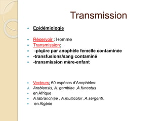 Transmission 
 Epidémiologie 
 Réservoir : Homme 
 Transmission: 
 -piqûre par anophèle femelle contaminée 
 -transfusions/sang contaminé 
 -transmission mère-enfant 
 Vecteurs: 60 espèces d’Anophèles: 
A. Arabiensis, A. gambiae ,A.funestus 
 en Afrique 
 A.labranchiae , A.multicolor ,A.sergenti, 
 en Algérie 
 