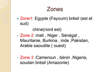 Zones 
 Zone1: Egypte (Fayoum) brésil (est et 
sud) 
chine(nord est) 
• Zone 2 :mali , Niger , Sénégal , 
Mauritanie, Burkina , inde ,Pakistan, 
Arabie saoudite ( ouest) 
• Zone 3 :Cameroun , bénin ,Nigeria, 
soudan brésil (Amazonie) 
 