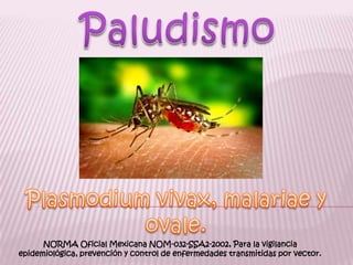 Paludismo Plasmodium vivax, malariae y ovale. NORMA Oficial Mexicana NOM-032-SSA2-2002, Para la vigilancia epidemiológica, prevención y control de enfermedades transmitidas por vector. 