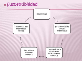 Susceptibilidad