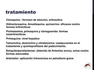 tratamiento Cloroquina : farmaco de eleccion, eritrocitica Hidrocloroquina, Amodiaquina, quinacrina: eficaces contra formas eritrociticas Pirimetamina, primaquina y cloroguanida: formas exoeritrociticas. Primaquina: nivel hepatico Tetraciclina, doxiciclina y clindamicina: coadyuvantes en el tratamiento y quimioprofilaxis del padecimiento. Sesquiterpenolactonas: obtenida de Artemisa annua, actua contra formas asexuadas Artemeter: aplicación intravenosa en paludismo grave 
