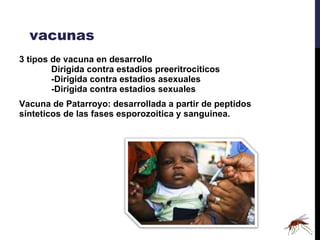 vacunas 3 tipos de vacuna en desarrollo Dirigida contra estadios preeritrociticos -Dirigida contra estadios asexuales -Dirigida contra estadios sexuales Vacuna de Patarroyo: desarrollada a partir de peptidos sinteticos de las fases esporozoitica y sanguinea. 