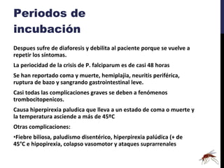 Periodos de incubación Despues sufre de diaforesis y debilita al paciente porque se vuelve a repetir los síntomas. La periocidad de la crisis de P. falciparum es de casi 48 horas Se han reportado coma y muerte, hemiplajia, neuritis periférica, ruptura de bazo y sangrando gastrointestinal leve. Casi todas las complicaciones graves se deben a fenómenos trombocitopenicos. Causa hiperpirexia paludica que lleva a un estado de coma o muerte y la temperatura asciende a más de 45ºC Otras complicaciones: Fiebre biliosa, paludismo disentérico, hiperpirexia palúdica (+ de 45°C e hipopirexia, colapso vasomotor y ataques suprarrenales 