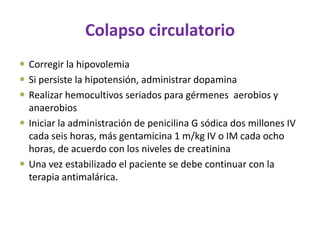 Colapso circulatorio
 Corregir la hipovolemia
 Si persiste la hipotensión, administrar dopamina
 Realizar hemocultivos seriados para gérmenes aerobios y
  anaerobios
 Iniciar la administración de penicilina G sódica dos millones IV
  cada seis horas, más gentamicina 1 m/kg IV o IM cada ocho
  horas, de acuerdo con los niveles de creatinina
 Una vez estabilizado el paciente se debe continuar con la
  terapia antimalárica.
 