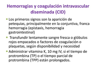 Hemorragias y coagulación intravascular
          diseminada (CID)
 Los primeros signos son la aparición de
  petequias, principalmente en la conjuntiva, franca
  hemorragia (epistaxis, hemorragia
  gastrointestinal)
 Transfundir lentamente sangre fresca o glóbulos
  rojos empacados o factores de coagulación o
  plaquetas, según disponibilidad y necesidad
 Administrar vitamina K, 10 mg IV, si el tiempo de
  protrombina (TP) o el tiempo parcial de
  protrombina (TPP) están prolongados.
 