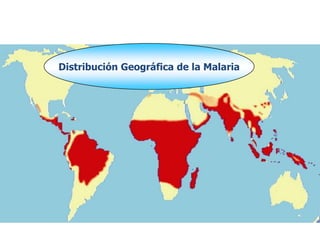 Distribución Geográfica de la Malaria
 