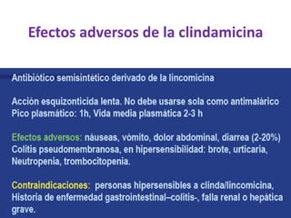 Efectos adversos de la clindamicina
 