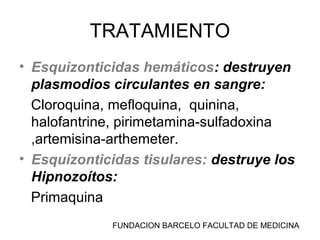 FUNDACION BARCELO FACULTAD DE MEDICINA
TRATAMIENTO
• Esquizonticidas hemáticos: destruyen
plasmodios circulantes en sangre:
Cloroquina, mefloquina, quinina,
halofantrine, pirimetamina-sulfadoxina
,artemisina-arthemeter.
• Esquizonticidas tisulares: destruye los
Hipnozoítos:
Primaquina
 