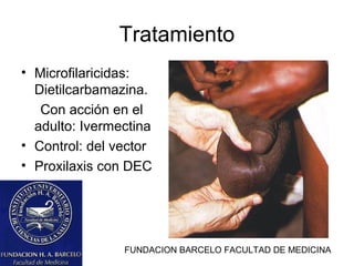 FUNDACION BARCELO FACULTAD DE MEDICINA
Tratamiento
• Microfilaricidas:
Dietilcarbamazina.
Con acción en el
adulto: Ivermectina
• Control: del vector
• Proxilaxis con DEC
 