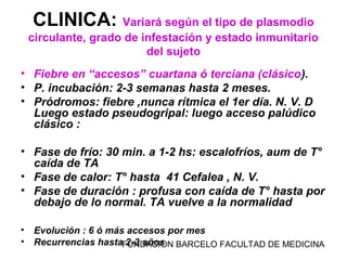 FUNDACION BARCELO FACULTAD DE MEDICINA
CLINICA: Variará según el tipo de plasmodio
circulante, grado de infestación y estado inmunitario
del sujeto
• Fiebre en “accesos” cuartana ó terciana (clásico).
• P. incubación: 2-3 semanas hasta 2 meses.
• Pródromos: fiebre ,nunca rítmica el 1er día. N. V. D
Luego estado pseudogripal: luego acceso palúdico
clásico :
• Fase de frío: 30 min. a 1-2 hs: escalofríos, aum de T°
caída de TA
• Fase de calor: T° hasta 41 Cefalea , N. V.
• Fase de duración : profusa con caída de T° hasta por
debajo de lo normal. TA vuelve a la normalidad
• Evolución : 6 ó más accesos por mes
• Recurrencias hasta 2-3 años
 