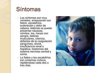 Síntomas 
Los síntomas son muy 
variados, empezando con 
fiebre, escalofríos, 
sudoración y dolor de 
cabeza. Además se puede 
presentar náuseas, 
vómitos, tos, heces con 
sangre, dolores 
musculares, ictericia, 
defectos de la coagulación 
sanguínea, shock, 
insuficiencia renal o 
hepática, trastornos del 
sistema nervioso central y 
coma. 
La fiebre y los escalofríos 
son síntomas cíclicos, 
repitiéndose cada dos o 
tres días. 
 
