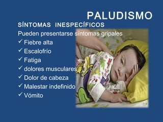 PALUDISMO
SÍNTOMAS INESPECÍFICOS
Pueden presentarse síntomas gripales
 Fiebre alta
 Escalofrío
 Fatiga
 dolores musculares
 Dolor de cabeza
 Malestar indefinido
 Vómito
 