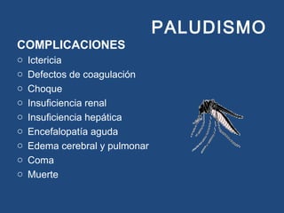 PALUDISMO
COMPLICACIONES
o Ictericia
o Defectos de coagulación
o Choque
o Insuficiencia renal
o Insuficiencia hepática
o Encefalopatía aguda
o Edema cerebral y pulmonar
o Coma
o Muerte
 