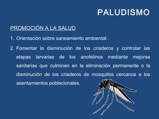 PALUDISMO
PROMOCIÓN A LA SALUD
1. Orientación sobre saneamiento ambiental.
2. Fomentar la disminución de los criaderos y controlar las
etapas larvarias de los anofelinos mediante mejoras
sanitarias que culminen en la eliminación permanente o la
disminución de los criaderos de mosquitos cercanos a los
asentamientos poblacionales.
 