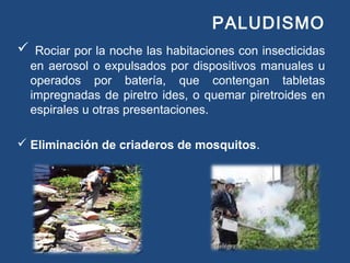 PALUDISMO
 Rociar por la noche las habitaciones con insecticidas
en aerosol o expulsados por dispositivos manuales u
operados por batería, que contengan tabletas
impregnadas de piretro ides, o quemar piretroides en
espirales u otras presentaciones.
 Eliminación de criaderos de mosquitos.
 