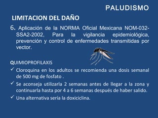 PALUDISMO
LIMITACION DEL DAÑO
6. Aplicación de la NORMA Oficial Mexicana NOM-032-
SSA2-2002, Para la vigilancia epidemiológica,
prevención y control de enfermedades transmitidas por
vector.
QUIMIOPROFILAXIS
 Cloroquina en los adultos se recomienda una dosis semanal
de 500 mg de fosfato .
 Se aconseja utilizarla 2 semanas antes de llegar a la zona y
continuarla hasta por 4 a 6 semanas después de haber salido.
 Una alternativa sería la doxiciclina.
 
