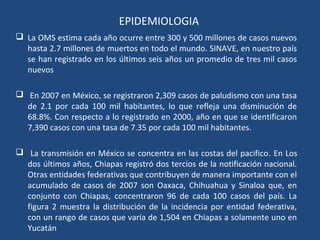 EPIDEMIOLOGIA
 La OMS estima cada año ocurre entre 300 y 500 millones de casos nuevos
hasta 2.7 millones de muertos en todo el mundo. SINAVE, en nuestro país
se han registrado en los últimos seis años un promedio de tres mil casos
nuevos
 En 2007 en México, se registraron 2,309 casos de paludismo con una tasa
de 2.1 por cada 100 mil habitantes, lo que refleja una disminución de
68.8%. Con respecto a lo registrado en 2000, año en que se identificaron
7,390 casos con una tasa de 7.35 por cada 100 mil habitantes.
 La transmisión en México se concentra en las costas del pacifico. En Los
dos últimos años, Chiapas registró dos tercios de la notificación nacional.
Otras entidades federativas que contribuyen de manera importante con el
acumulado de casos de 2007 son Oaxaca, Chihuahua y Sinaloa que, en
conjunto con Chiapas, concentraron 96 de cada 100 casos del país. La
figura 2 muestra la distribución de la incidencia por entidad federativa,
con un rango de casos que varía de 1,504 en Chiapas a solamente uno en
Yucatán
 