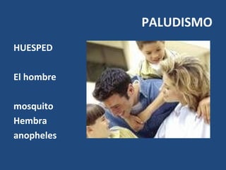 PALUDISMO
HUESPED
El hombre
mosquito
Hembra
anopheles
 