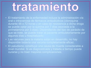 • El tratamiento de la enfermedad incluye la administración vía
oral o intravenosa de fármacos antipalúdicos (cloroquina
durante 48 o 72 horas y en caso de resistencia a dicha droga
se puede optar por la quinina por 7 días asociada a la
pirimetamina por 3 días). Dependiendo del tipo de parásito de
que se trate, se puede tratar al paciente ambulatoriamente por
algunos días u hospitalizarlo.
• Las vacunas para la malaria están en desarrollo, no hay
disponible todavía una vacuna completamente eficaz.
• El paludismo constituye una causa de muerte considerable a
nivel mundial. Si es diagnosticada y tratada a tiempo puede
curarse y no traer mayores complicaciones.
 