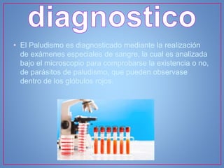 • El Paludismo es diagnosticado mediante la realización
de exámenes especiales de sangre, la cual es analizada
bajo el microscopio para comprobarse la existencia o no,
de parásitos de paludismo, que pueden observase
dentro de los glóbulos rojos.
 