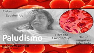 Dr. Arturo Melgar Pliego
R3 Medicina Interna
Paludismo
 