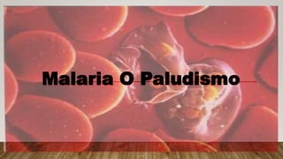 Malaria O Paludismo
 