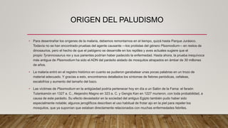 ORIGEN DEL PALUDISMO
• Para desentrañar los orígenes de la malaria, debemos remontarnos en el tiempo, quizá hasta Parque Jurásico.
Todavía no se han encontrado pruebas del agente causante —los protistas del género Plasmodium— en restos de
dinosaurios, pero el hecho de que el patógeno se desarrolle en los reptiles y aves actuales sugiere que el
propio Tyrannosaurus rex y sus parientes podrían haber padecido la enfermedad. Hasta ahora, la prueba inequívoca
más antigua de Plasmodium ha sido el ADN del parásito aislado de mosquitos atrapados en ámbar de 30 millones
de años.
• La malaria entró en el registro histórico en cuanto se pudieron garabatear unas pocas palabras en un trozo de
material adecuado. Y gracias a esto, encontramos detallados los síntomas de fiebres periódicas, cefaleas,
escalofríos y aumento del tamaño del bazo.
• Las víctimas de Plasmodium en la antigüedad podría pertenecer hoy en día a un Salón de la Fama: el faraón
Tutankamón en 1327 a. C., Alejandro Magno en 323 a. C. y Gengis Kan en 1227 murieron, con toda probabilidad, a
causa de este parásito. Su efecto devastador en la sociedad del antiguo Egipto también pudo haber sido
especialmente notable; algunos jeroglíficos describen el uso habitual de frotar ajo en la piel para repeler los
mosquitos, que ya suponían que estaban directamente relacionados con muchas enfermedades febriles.
 