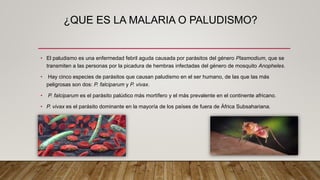 ¿QUE ES LA MALARIA O PALUDISMO?
• El paludismo es una enfermedad febril aguda causada por parásitos del género Plasmodium, que se
transmiten a las personas por la picadura de hembras infectadas del género de mosquito Anopheles.
• Hay cinco especies de parásitos que causan paludismo en el ser humano, de las que las más
peligrosas son dos: P. falciparum y P. vivax.
• P. falciparum es el parásito palúdico más mortífero y el más prevalente en el continente africano.
• P. vivax es el parásito dominante en la mayoría de los países de fuera de África Subsahariana.
 