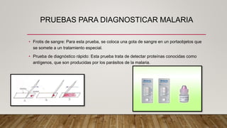 PRUEBAS PARA DIAGNOSTICAR MALARIA
• Frotis de sangre: Para esta prueba, se coloca una gota de sangre en un portaobjetos que
se somete a un tratamiento especial.
• Prueba de diagnóstico rápido: Esta prueba trata de detectar proteínas conocidas como
antígenos, que son producidas por los parásitos de la malaria.
 