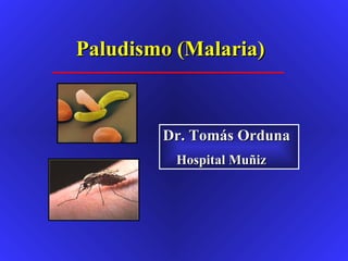 Dr. Tomás Orduna Hospital Muñiz   Paludismo (Malaria)   