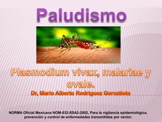 NORMA Oficial Mexicana NOM-032-SSA2-2002, Para la vigilancia epidemiológica,
prevención y control de enfermedades transmitidas por vector.
 
